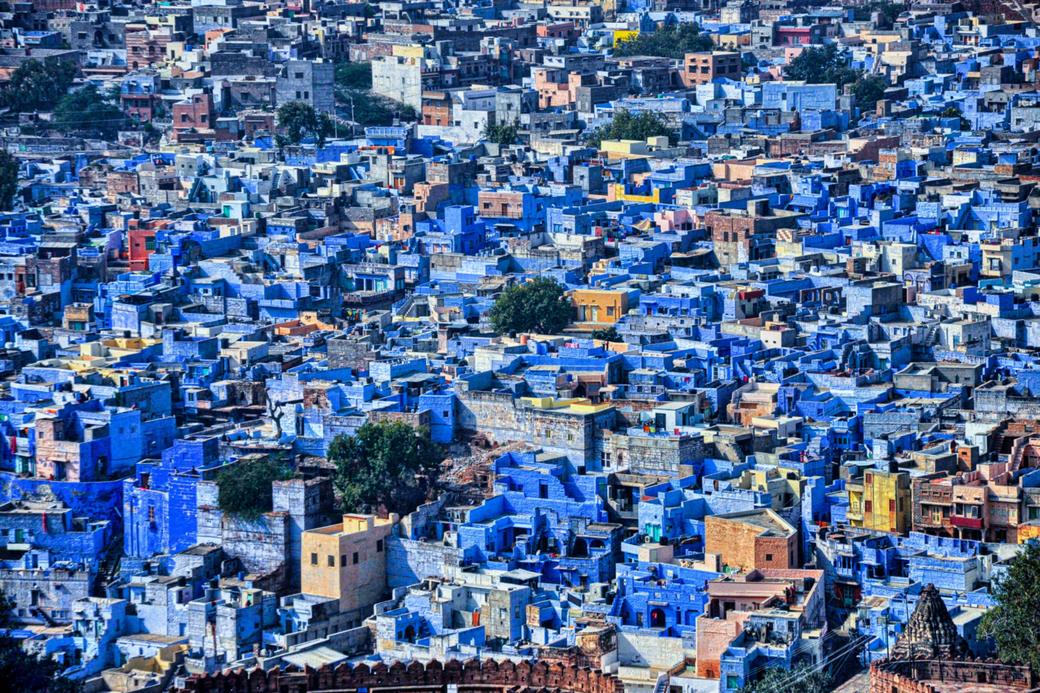 Casas azules del casco antiguo de Jodhpur vistas desde lo alto